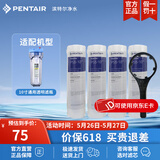 滨特尔（pentair） 净水器家用 前置10寸PP棉滤芯 简易更换 4根10寸5μmPP棉+扳手套装