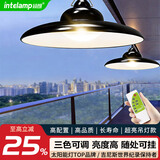 颖朗太阳能户外照明灯庭院吊灯农村用凉亭花架别墅室内阳台花园防水灯 【超亮照明款】三色可调（有遥控）+5米线带接头