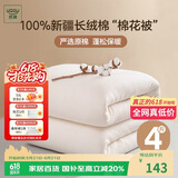 然牌 棉花被 100%新疆正宗棉花被棉被纯棉 春秋被 4斤200x230cm