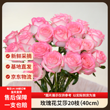 京东鲜花【艾莎】玫瑰20枝微展花型无土栽培家庭插花花束山东基地源头直发