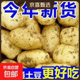 新鲜土豆现挖现发山东正宗黄心黄肉当季新鲜蔬菜马铃薯洋芋薯条 山东土豆净重9斤 中大果2两起