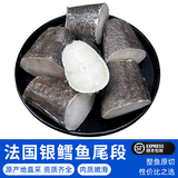 尝鲜生 银鳕鱼法国冷冻鳕鱼【南极犬牙鱼】生鲜宝宝辅食高端食材鳕鱼块 银鳕鱼【尾段】 500g 【6-9块】净重