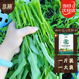 北蔬 空心菜种子苗小竹柳叶四季阳台蔬菜种子 柳叶空心菜种子一斤装