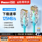 泛达 泛达六类细网线CAT6类千兆跳线POE监控办公家用水晶头宽带成品网线 冰湖蓝 15米