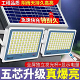 长虹太阳能照明灯农村户外照明灯LED家用防水一拖一、一拖二庭院灯 15000W+15000W+五芯高亮灯珠照约2100 长虹品牌+10米国际加粗紫铜线