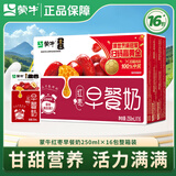 蒙牛早餐奶麦香核桃红枣儿童学生营养早餐牛奶热门商品整箱利乐包 8月产【红枣味】250ml*16盒
