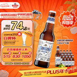 青岛啤酒（TsingTao）精酿白啤 全麦酿造 330ml*12瓶 整箱装