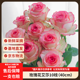 京东鲜花【艾莎】玫瑰花10枝如意基地鲜切花水养插花生活花束山东源头直发