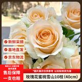京东鲜花玫瑰花蜜桃雪山10枝山东基地香槟玫瑰毕业季鲜花现摘现发源头直发