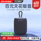 雷登X2无线蓝牙小音响便携式迷你小型大音量高音质随身防水音箱自行车骑行低音炮 x2黑色【15W】 官方标配【当/次日达】