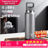 特百惠（Tupperware）纯钛儿童保温杯520ml男女士大容量水杯子泡茶杯咖啡杯礼物 金属灰