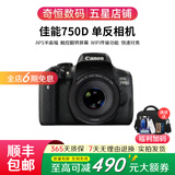 佳能/Canon 600D 700D 750D 760D 800D 850D二手单反相机新手学生入门旅游高清相机 750D+50/1.8 STM【小痰盂套机】 准新