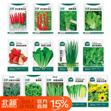 北蔬 菜种子大全黄瓜西红柿草莓生菜辣椒种籽 [家庭种]13种蔬菜种子
