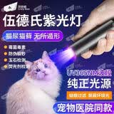 探路蜂紫光灯手电筒鉴定紫外线灯伍德式灯365紫外线照射果蔬残留验钞灯