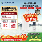 滨特尔（pentair）大白瓶前置过滤器 全屋家用自来水过滤器 前置净水器大蓝瓶 中央净水机大流量大胖瓶高精度 10寸大白瓶+前置L250