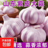 【高品质】大蒜头批发干蒜紫皮大蒜头干蒜特大新鲜大蒜批发价包邮 山东大蒜1斤