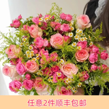 芊芊细语斗南基地直批发玫瑰鲜花全国速递配送女友礼物家用水养插花家庭 5支艾莎+5支苏菲宝贝+5支黄莺+3支洋甘菊