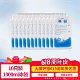 佑酷品胜 1000ML冰袋 加厚注水型 车载母乳保鲜保温箱冰包（10只装）