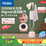 海尔（Haier）立式挂烫机35g蒸汽量2.5L水箱双杆家用手持熨斗烫衣服带板大功率平挂两用熨烫机GS2408F 价保618