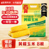 十月稻田 黄糯玉米 8根 3.52斤 真空包装 东北甜粘玉米棒 低脂早餐