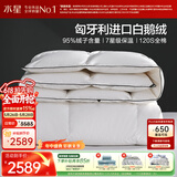 水星家纺羽绒被95%白鹅绒被子冬季加厚暖气被芯双人羽绒被220×240cm-500g