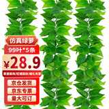 草木鲜生仿真99叶绿萝叶婚庆节日装饰塑料藤蔓条下水管道遮挡绿叶