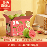 京鲜生 红心芭乐 净重3斤 单果150g+ 生鲜端午水果礼盒