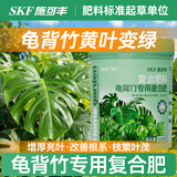 施可丰龟背竹肥料专用肥复合肥颗粒氮磷钾三元花肥叶子发黄掉叶烂根盆栽