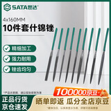 世达（SATA）10件套什锦锉4x160MM     03802