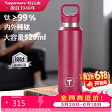 特百惠（Tupperware）纯钛儿童保温杯520ml男女士大容量水杯子泡茶杯咖啡杯礼物 美唇红