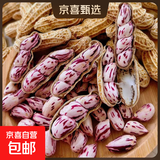 【精品大粒】云南新鲜七彩花生手工挑选带皮湿花生水果新鲜蔬菜 5斤-净重
