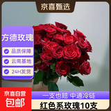 【方德玫瑰】云南鲜花基地直发玫瑰花鲜切38妇女节女神节生日礼物 方德40-50cm红色系玫瑰10支