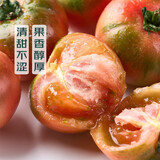 【地标好物】盘锦碱地柿子1.25kg(铁皮柿子)