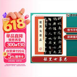 墨点字帖 张黑女墓志 历代经典碑帖高清放大对照本毛笔字帖 附简体旁注