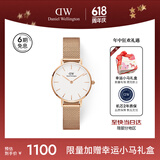丹尼尔惠灵顿（DanielWellington）DW女士手表轻奢流金简约石英欧美腕表生日礼物送女友DW219