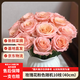 京东鲜花玫瑰花粉色随机10枝长度40cm送闺蜜家庭瓶插水养山东基地源头直发