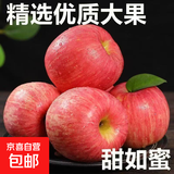 正宗红富士丑苹果脆爽多汁应季红富士苹果新鲜苹果多仓混发 整箱5斤净重4.5斤A+级中果【果径70-75】