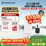 滨特尔（pentair）大白瓶前置过滤器 全屋家用自来水过滤器 前置净水器大蓝瓶 中央净水机大流量大胖瓶高精度 10寸大白瓶+前置L360