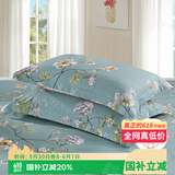 艾薇 A类枕头套纯棉家用全棉单人枕套一对枕芯套 清馨花园 48*74cm