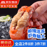 海万鲜 深海红魔虾 国产网红胭脂虾 绯红刺身虾西班牙魔鬼虾300g 特大号5-6条/盒 300g(净重) 