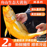 鲜喜利舟山深海大黄鱼礼盒半野生黄花鱼鲜活冷冻生鲜海鲜送礼包商用团购 2条无礼盒（单条约1.2斤）