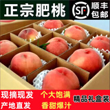 趣觅鲜肥城水蜜桃正宗山东泰安刘台肥桃大寿桃佛桃应季新鲜水果毛桃子 5斤装8-12个