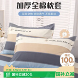艾薇 A类枕头套纯棉家用全棉单人枕套一对枕芯套 罗马时代 48*74cm