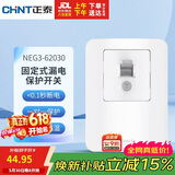 正泰（CHNT）固定式漏电保护开关 40A 230V~NEG3-62030