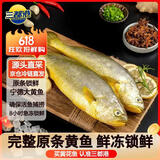 三都港 冷冻黄花鱼净重600g/2条装 宁德大黄鱼 海鱼 生鲜鱼类 海鲜水产