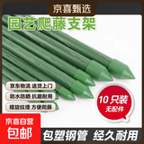 包塑钢管园艺支架杆黄瓜豆角葡萄种菜爬藤架绿植架攀爬架 直径16mm 长度210cm【10支装无配件】