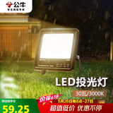 公牛（BULL）LED投光灯户外路灯庭院灯工地灯露营灯 IP65防水30W-3000K暖白光