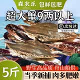 【冷冻】舟山梭子蟹鲜活特大野生大螃蟹新鲜海蟹（26年新蟹活冻） 3-5两/只【3斤净重 当季船供】
