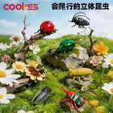 COOKSS立体昆虫发条玩具儿童益智爬行仿真动物模型早教认知生日礼物礼盒