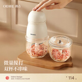 OIDIRE（偶点）绞肉机 小型迷你电动便携肉馅肉泥搅拌机多功能婴儿辅食机 蔬菜水果搅拌料理机 0.3L 升级款 | 双杯双刀